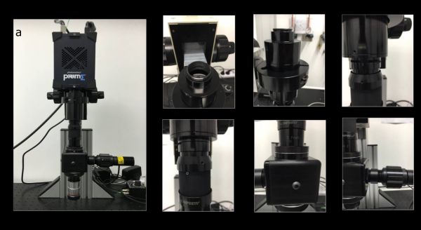 Infinity-KC-VideoMax-used-into-Multiscale-FOV-fluorescene-imaging-system