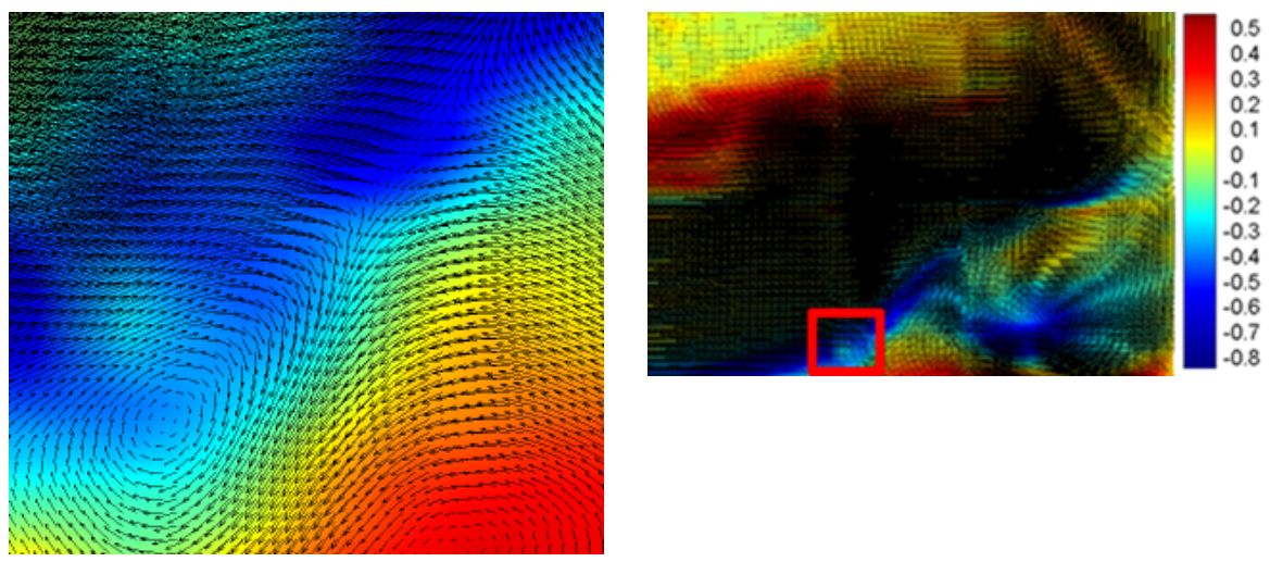 PIV AIV result plus detailed view of jet flow