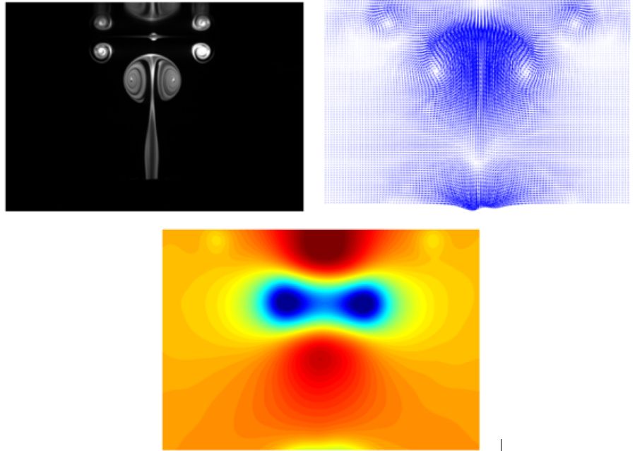 PIV Flow visualization using dye plus Velocity field result Pressure field
