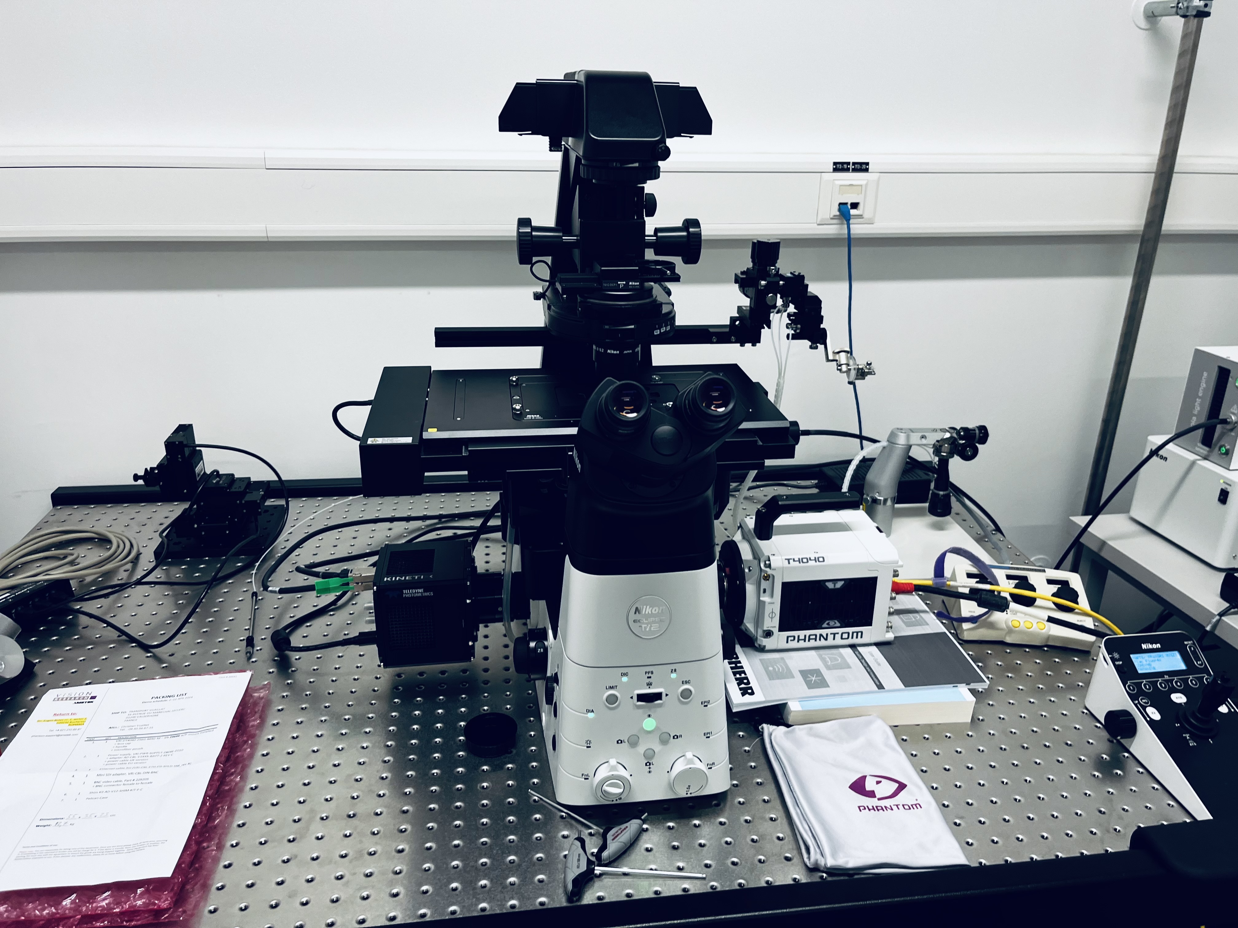 T Microscope Phantom